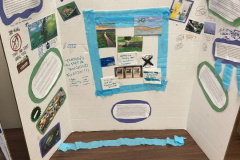 Contamination Fertilizer! by Isla Brady, Alain Jasmin, Emma Keating, and Jia Zheng