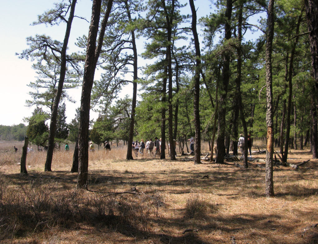 Explore the Long Island Pine Barrens Recreational Opportunities