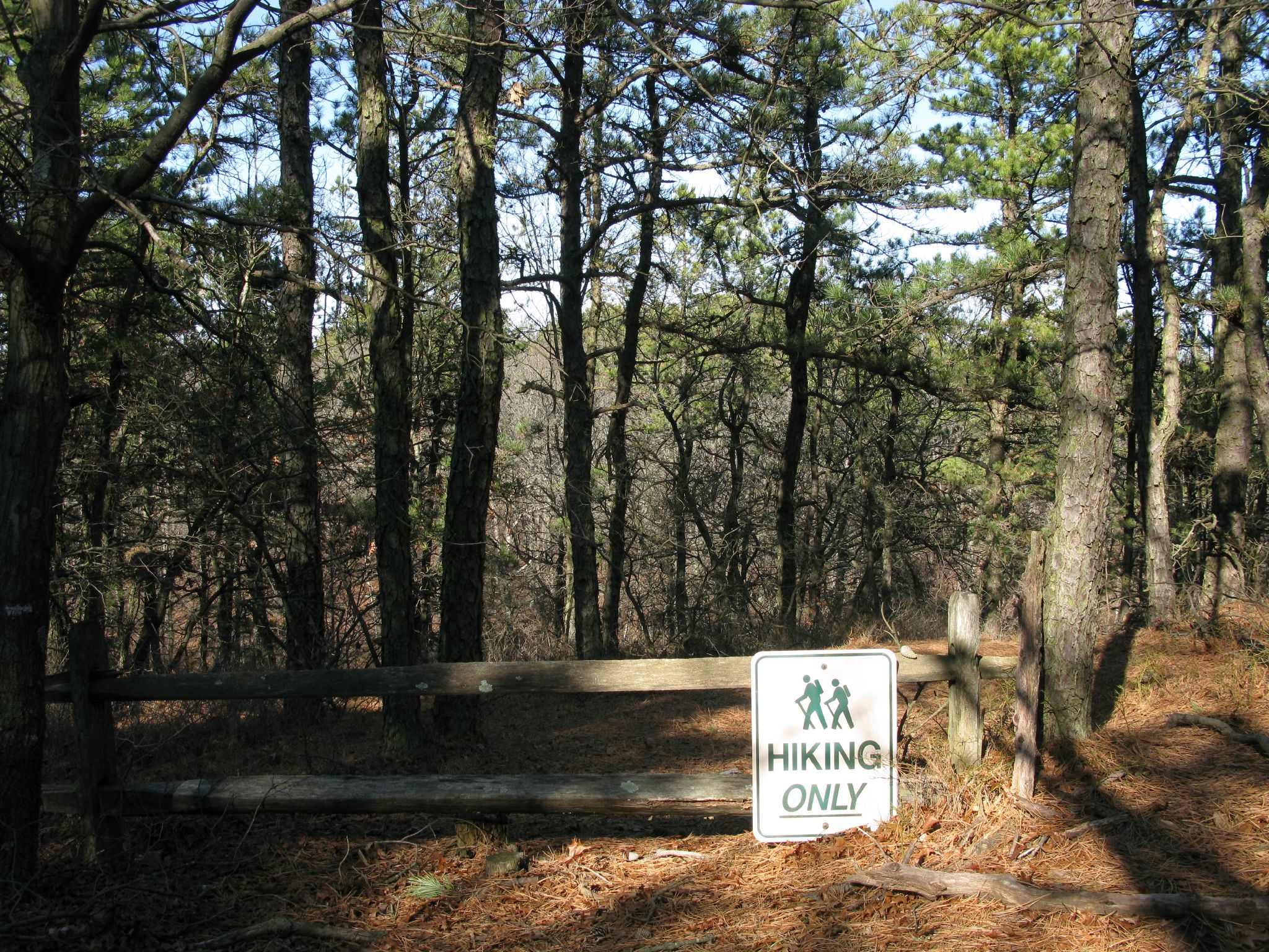 Sign that says Hikers Only along a fence in the Long Island Pine Barrens