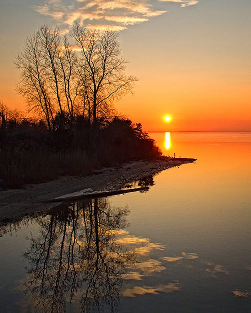 Photographing the Long Island Pine Barrens