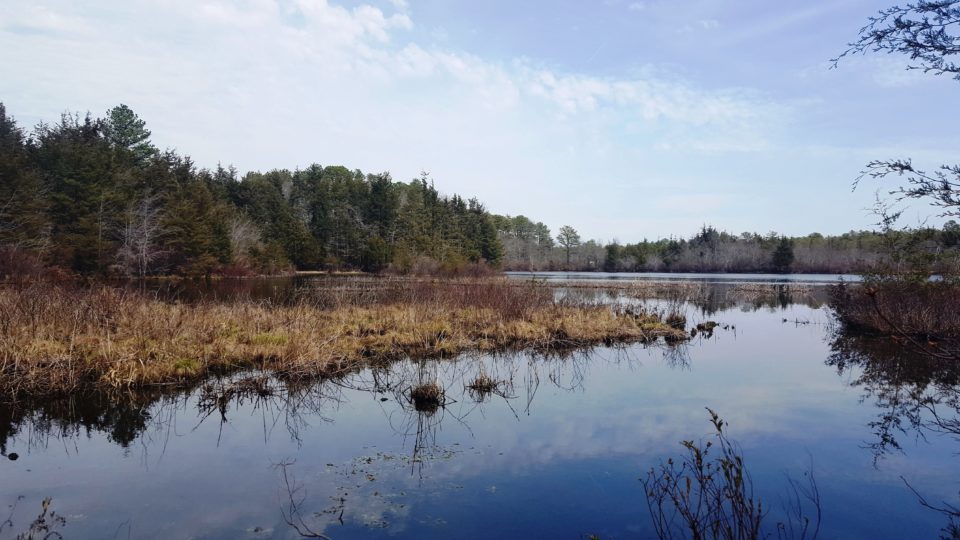 SOLD OUT Guided Hike Cranberry Bog Nature Preserve