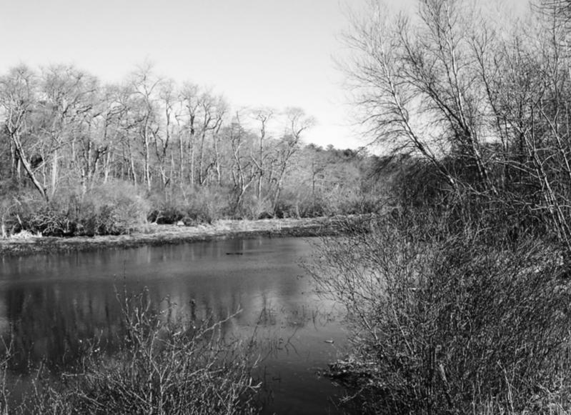 Top Five Historic Events in the Long Island Pine Barrens