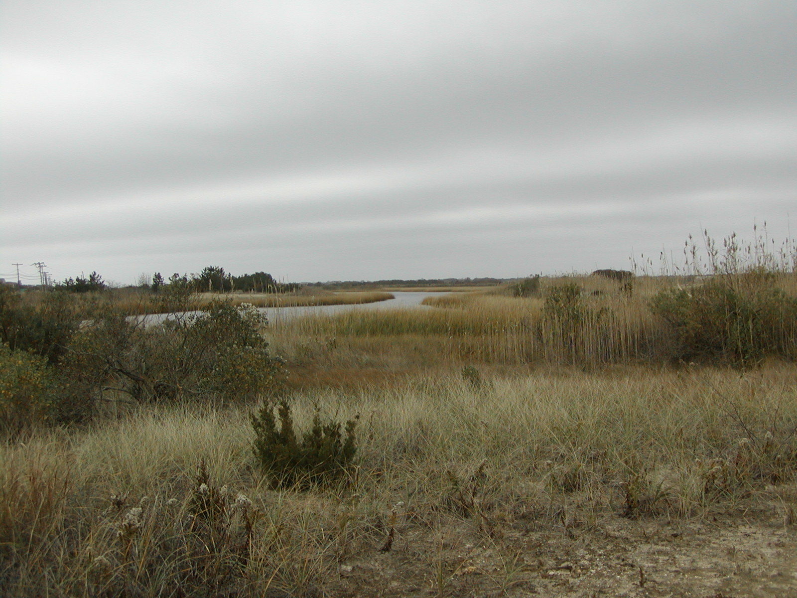 Long Island Natural Landscape