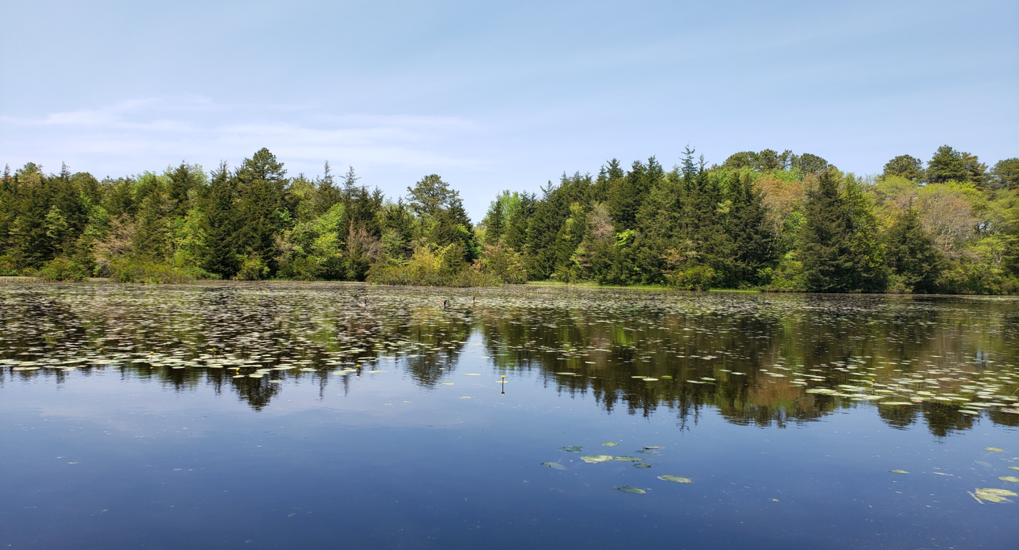 Swezey Pond at Cranberry Bog County Park