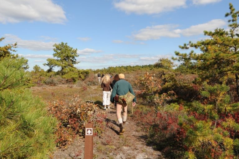 What is the Long Island Pine Barrens?