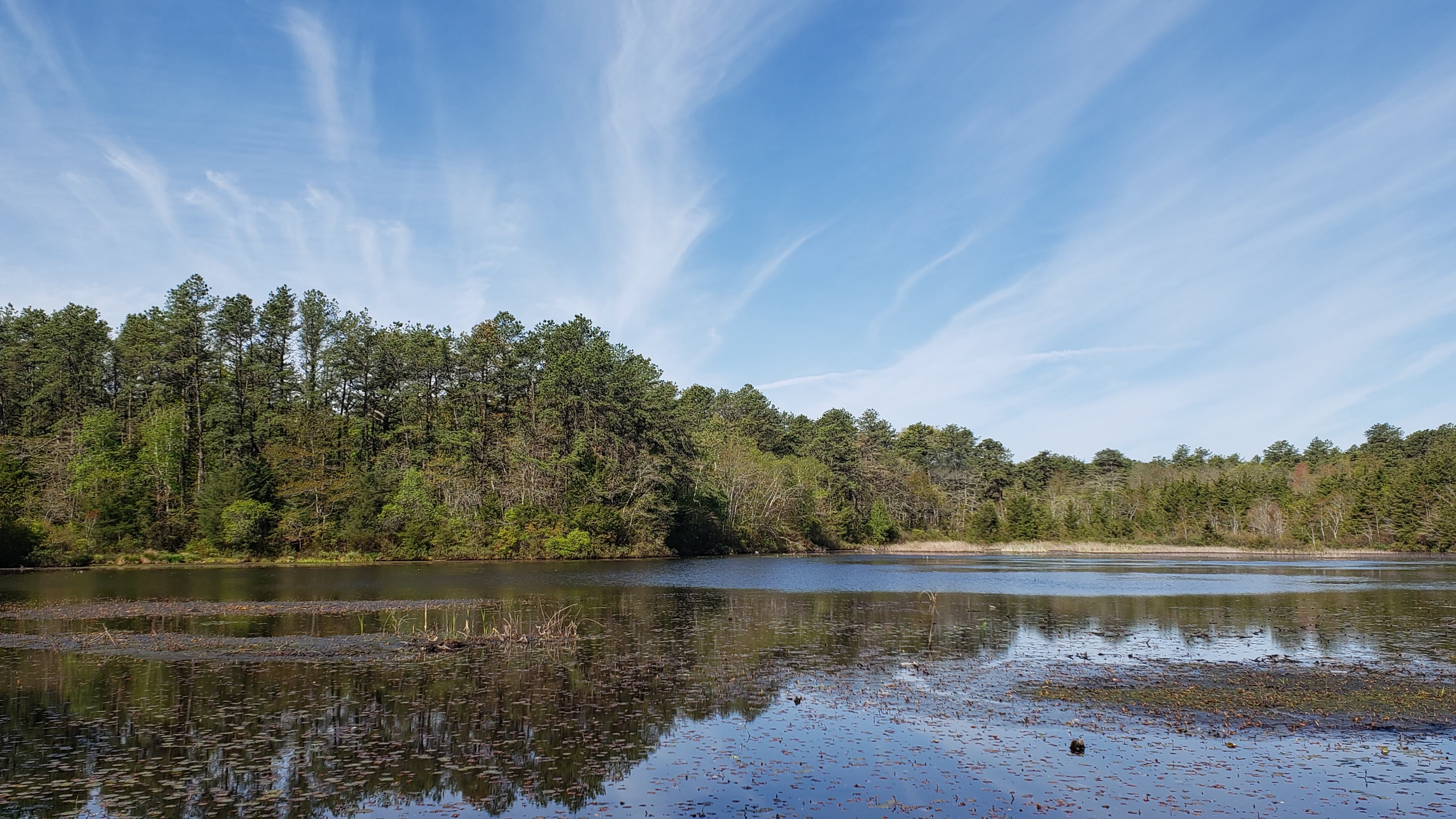 Little Pond at Cranberry Bog Nature Preserve - Pond and sky