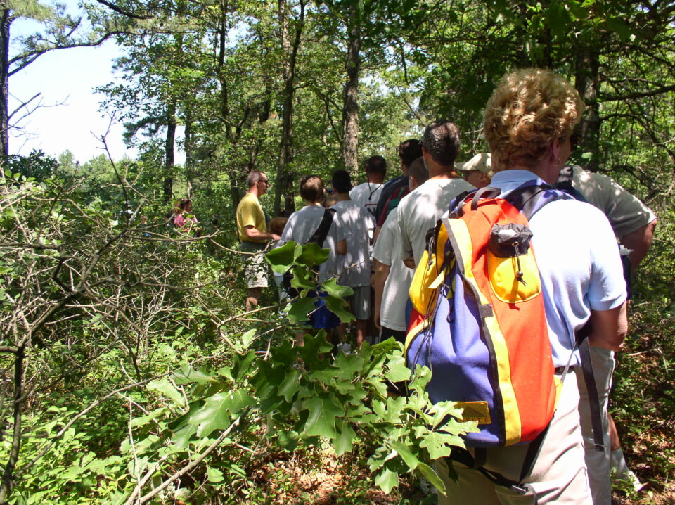 Backpacking Practice for Beginners in The Long Island Pine Barrens