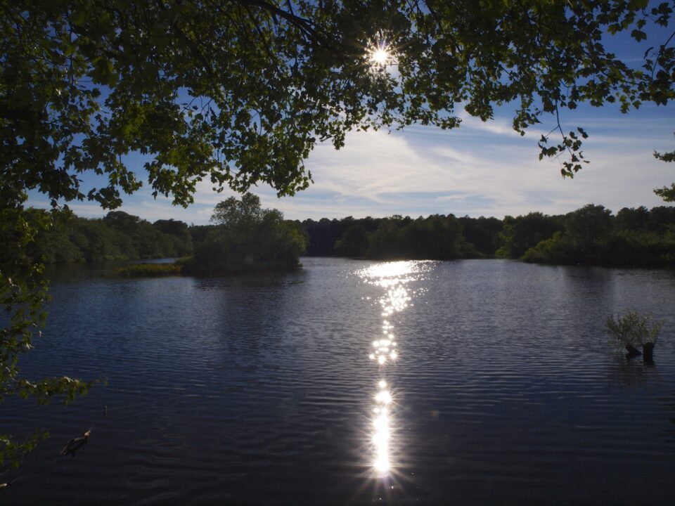 View of Old Ice Pond Quogue Wildlife Refuge