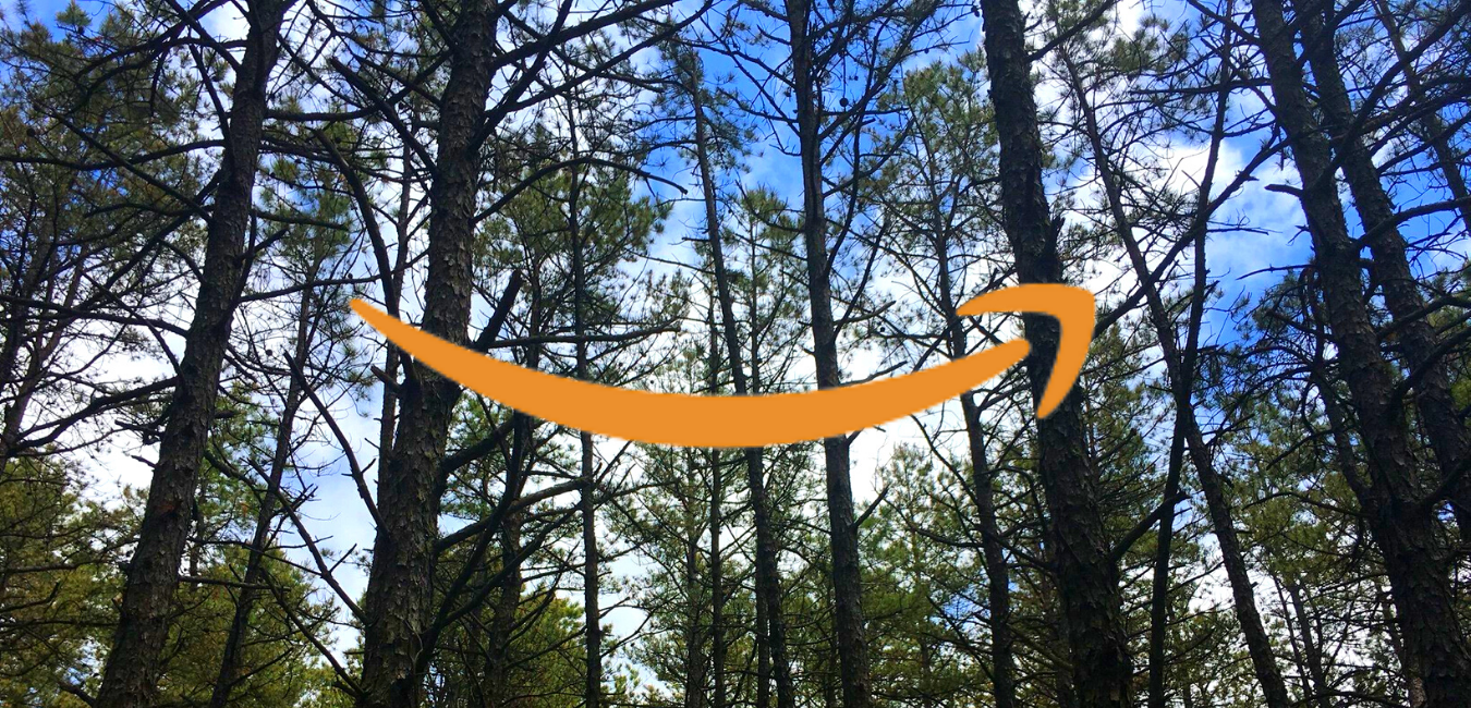 Amazon smile logo over pine trees