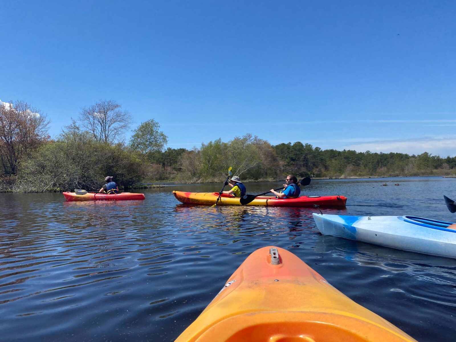 Summer Recreation in the Pine Barrens