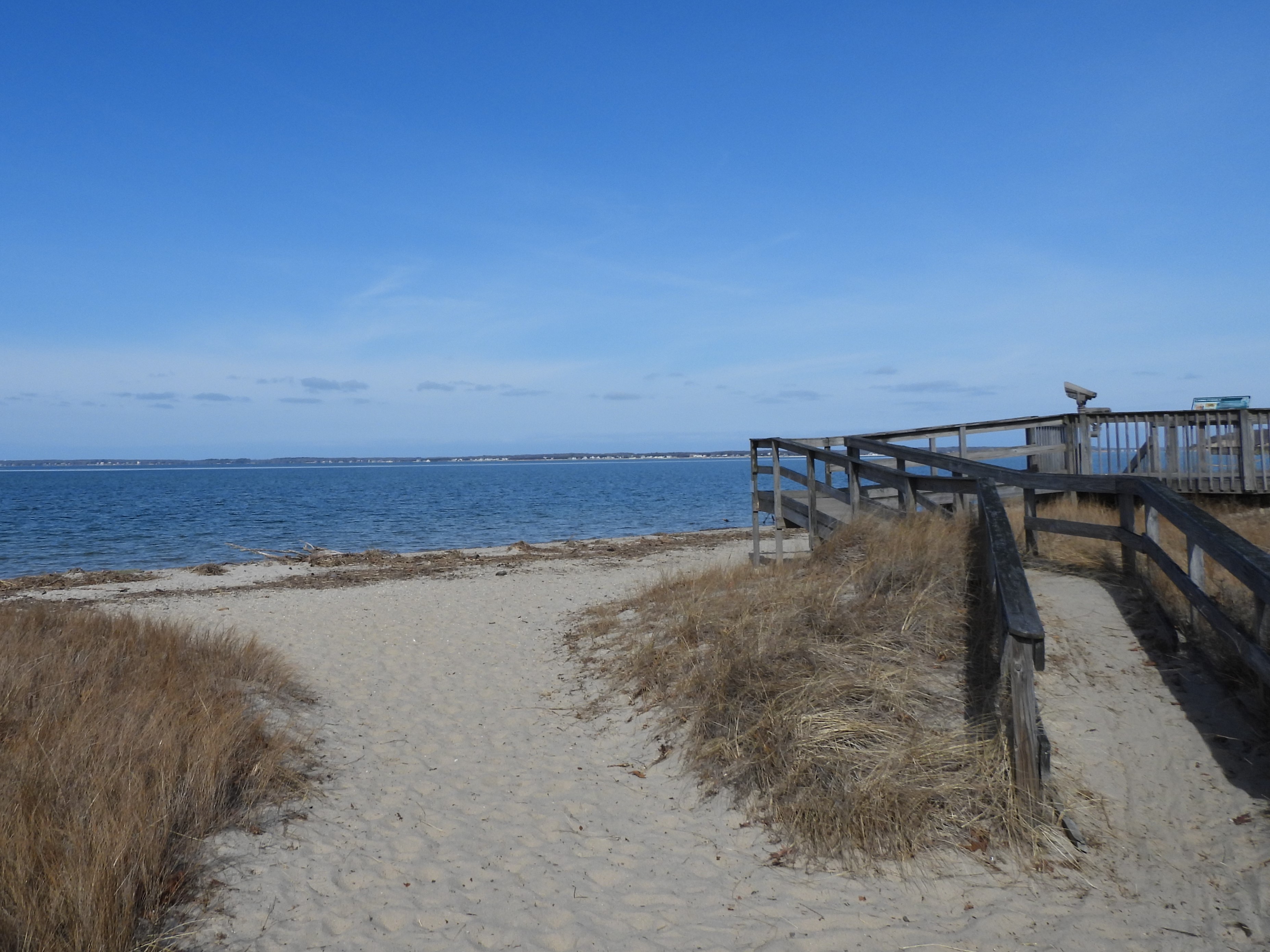 February 2024: Elizabeth A. Morton National Wildlife Refuge