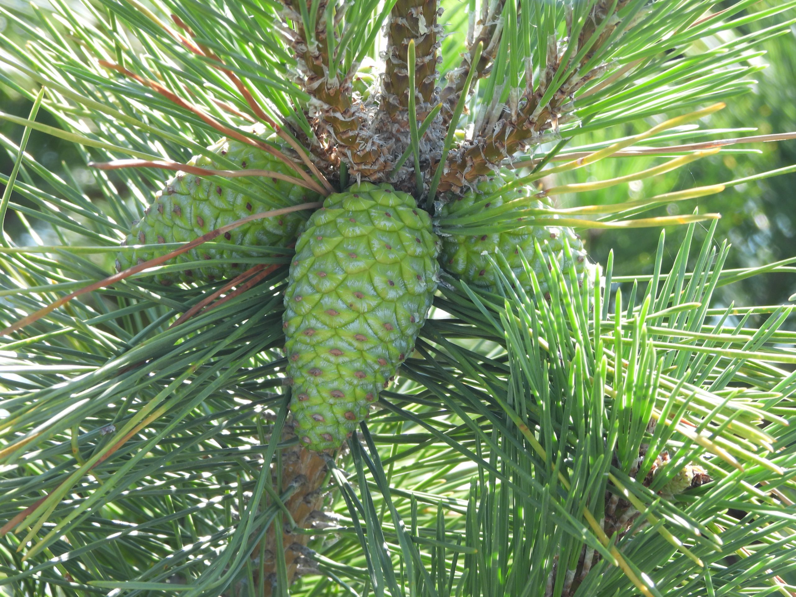 July 2025: Smith Point County Park