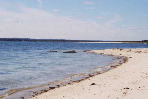 How to Celebrate National Water Quality Month