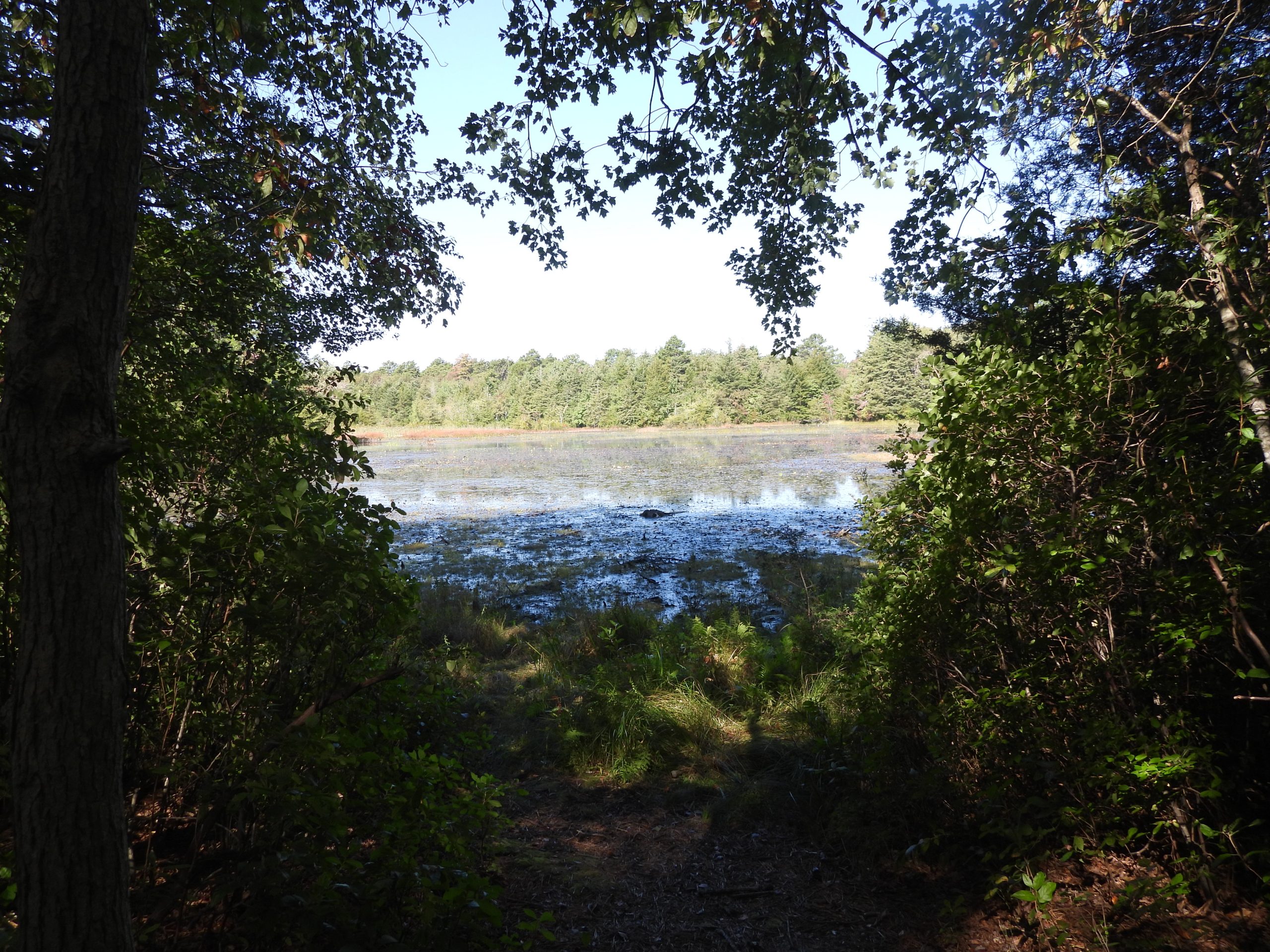 Earth Day Reflections: 2026 Edition