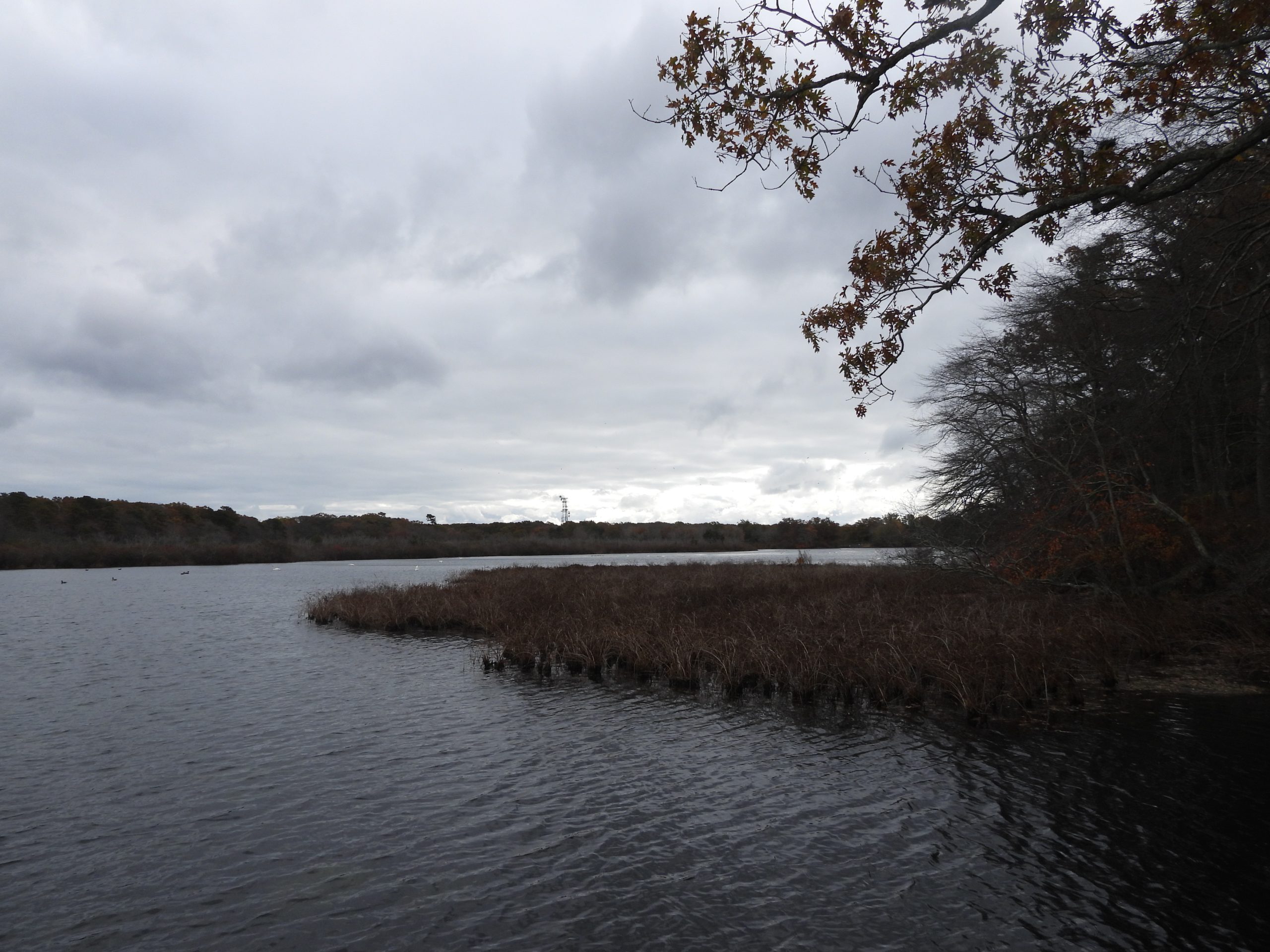 October 2025: Southaven County Park