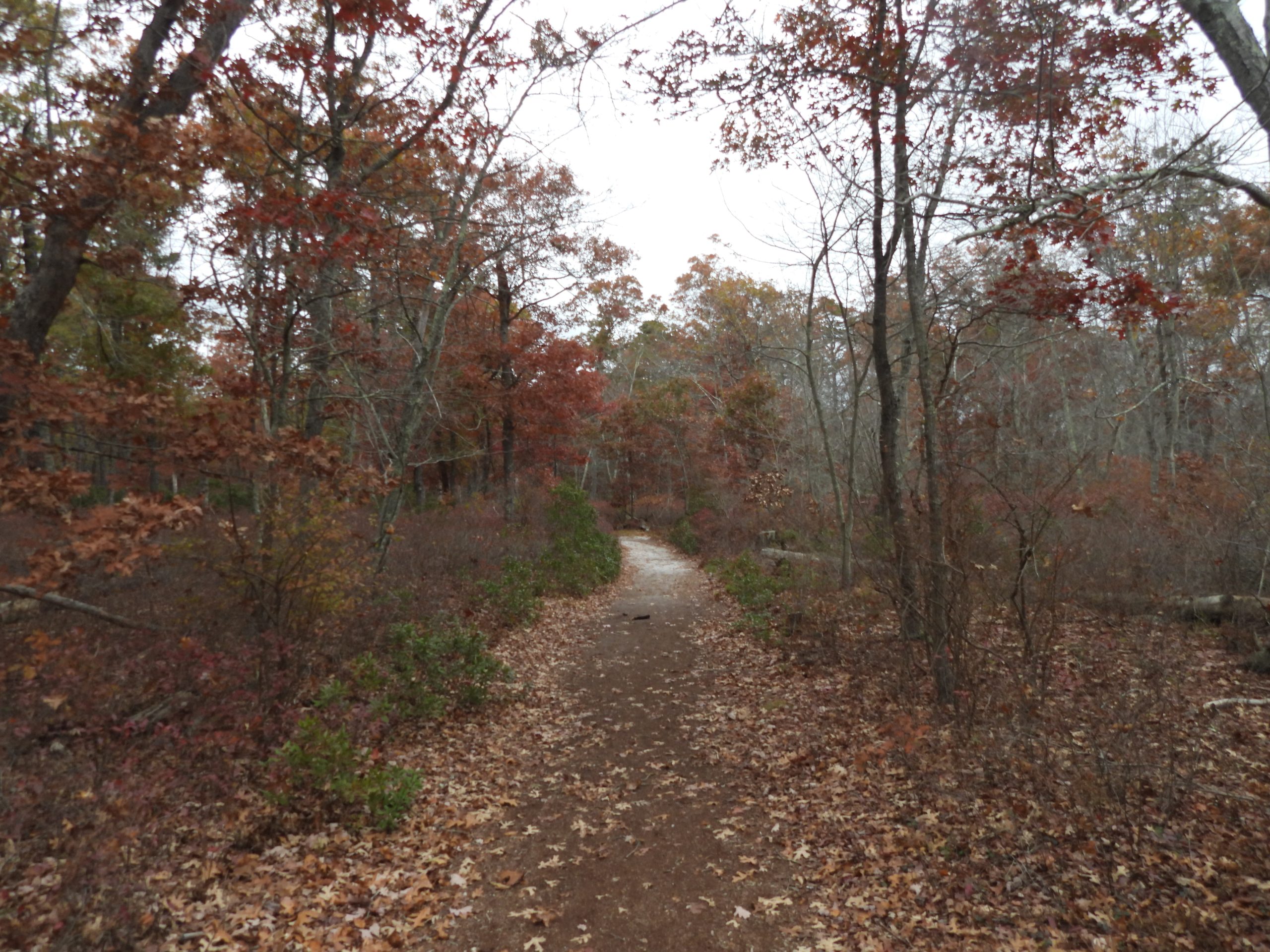 The Joy of Seasonality: Why You Should Hike Year-Round