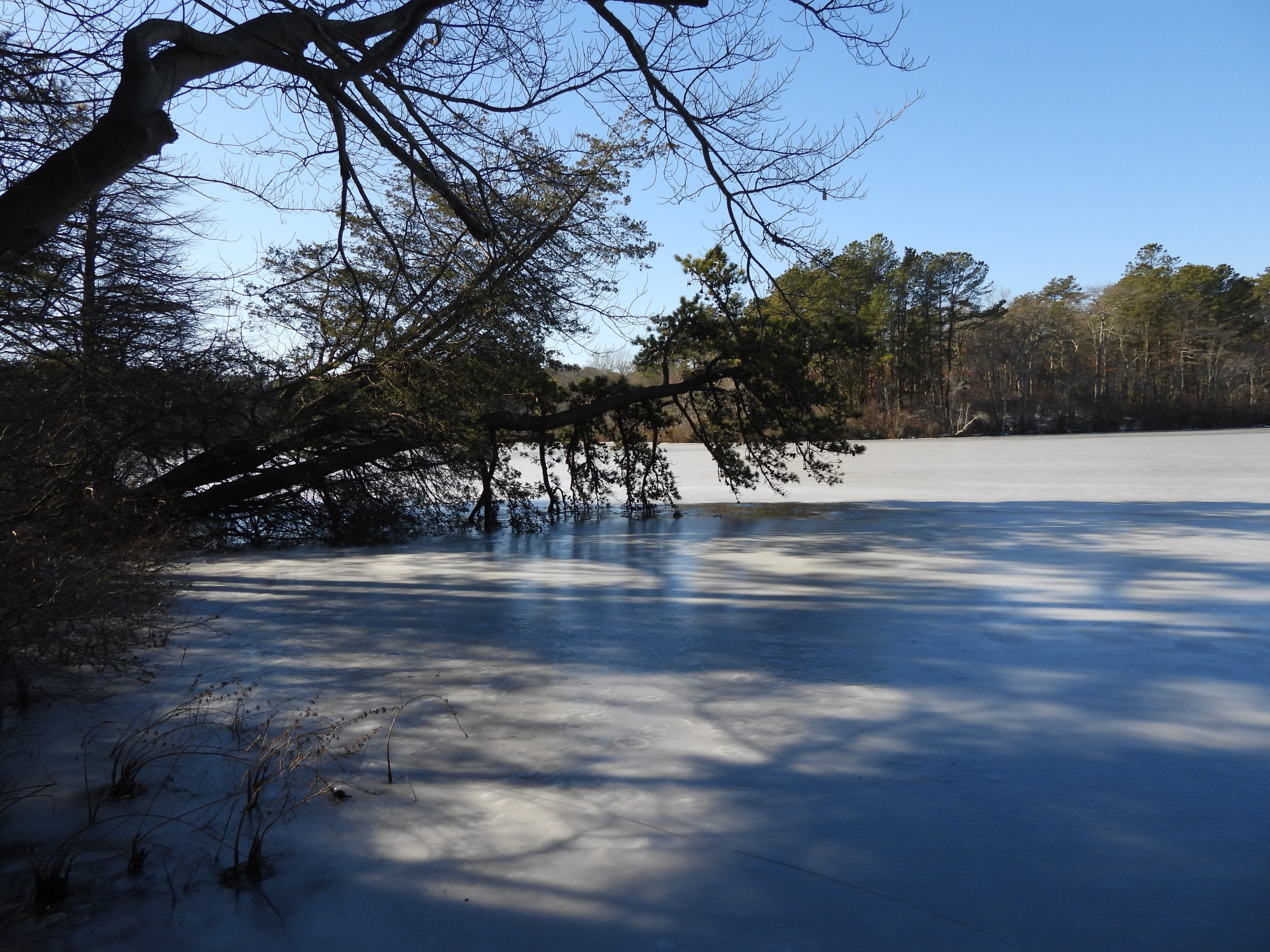 December 2025: Sears-Bellows County Park