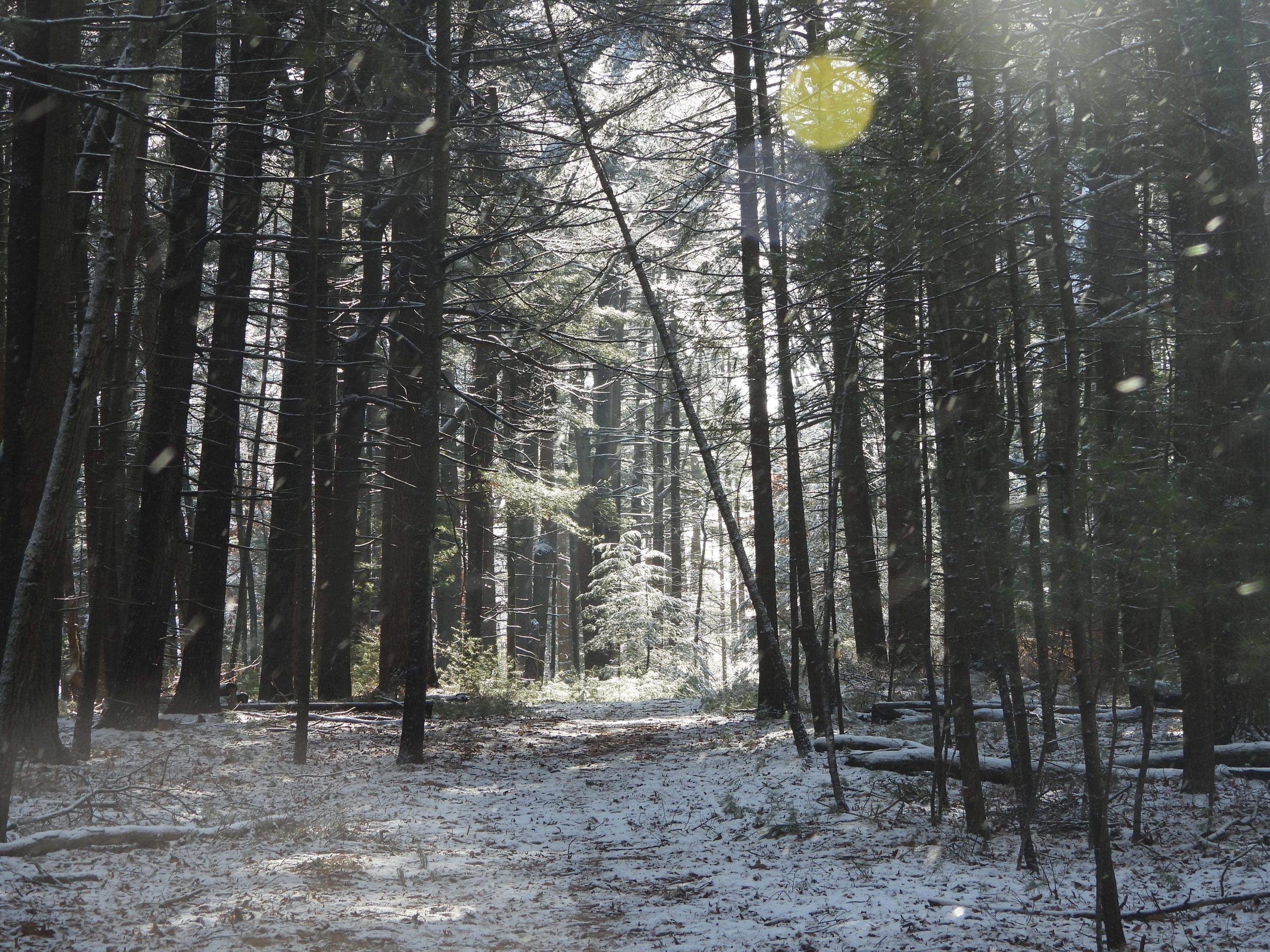 Looking Ahead at 2026