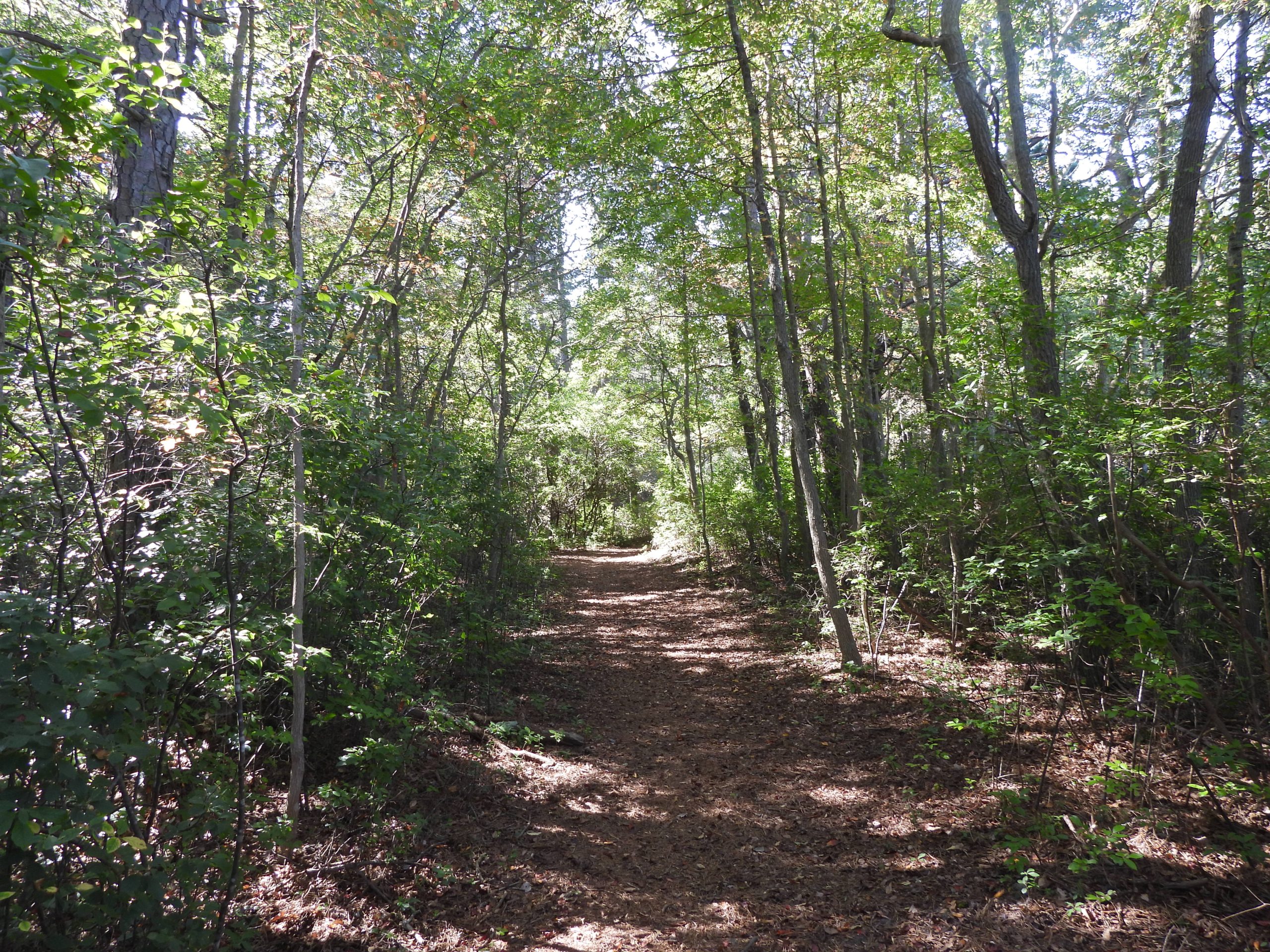 Three Great Parks to Explore This Spring