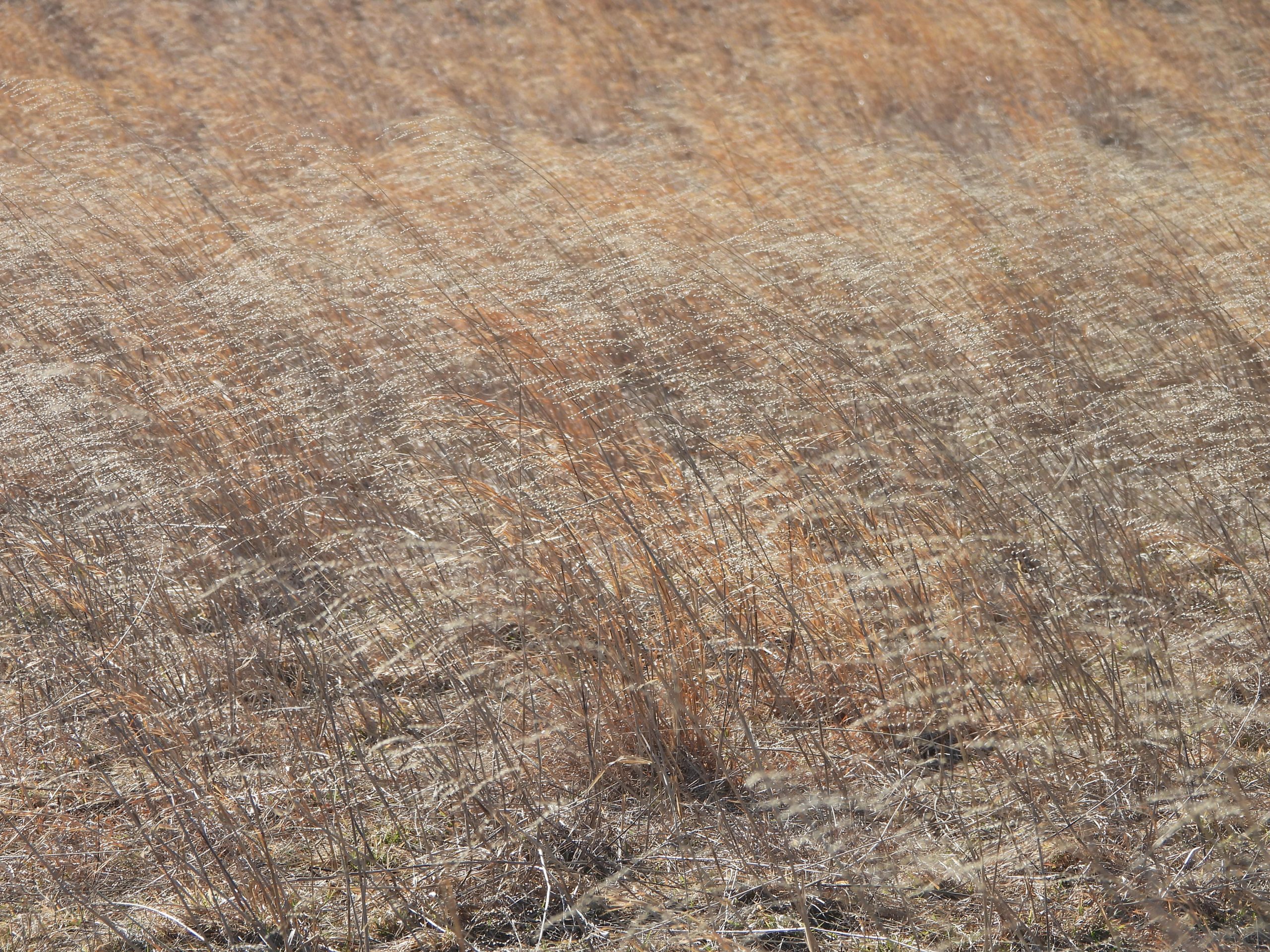 March 2026: Returning to EPCAL