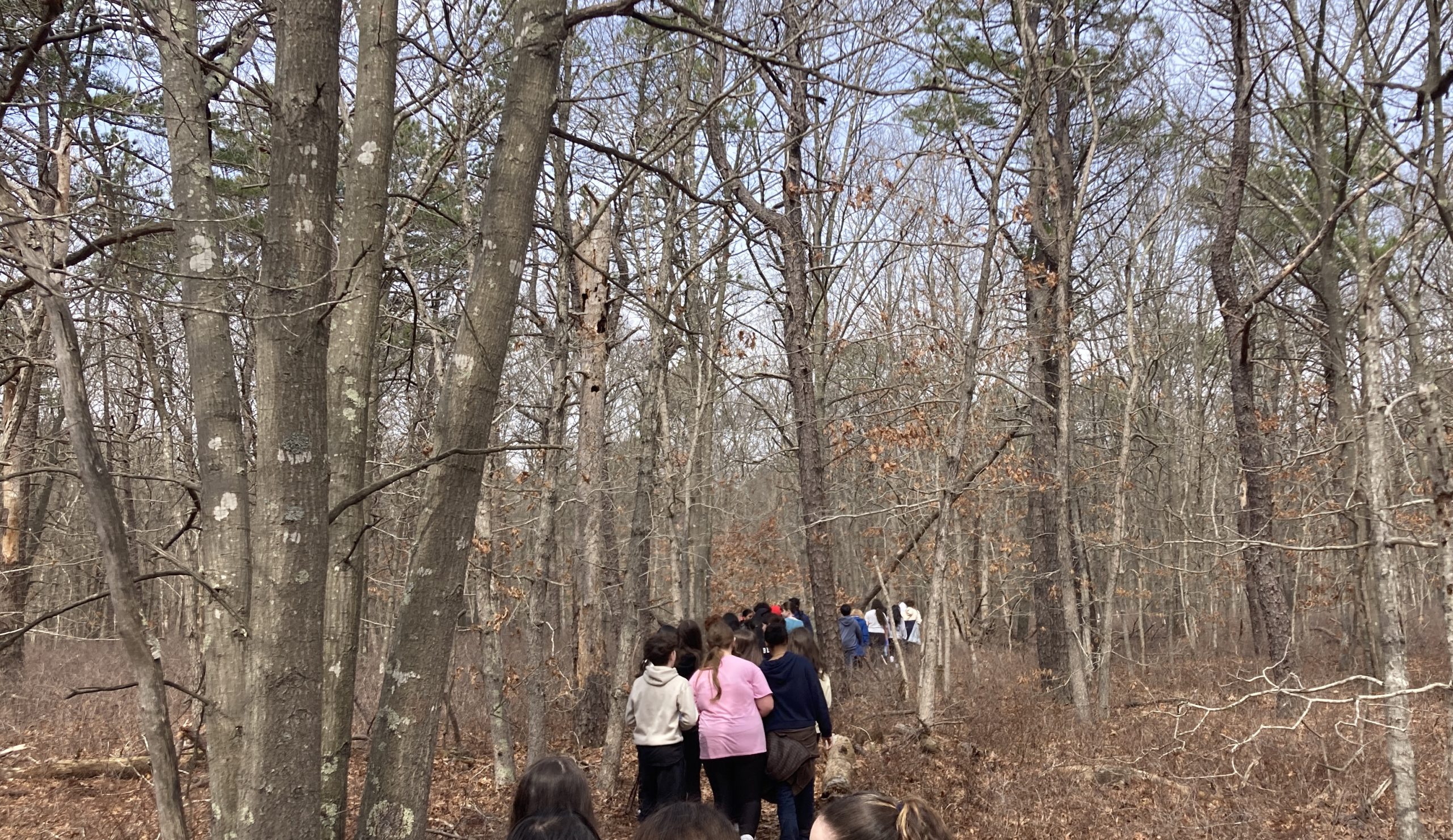 April 2026: Fish Thicket Preserve