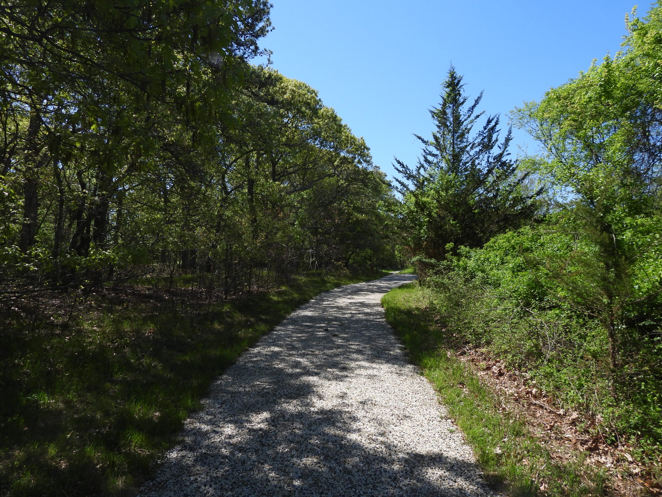 May 2026: Broad Cove Preserve