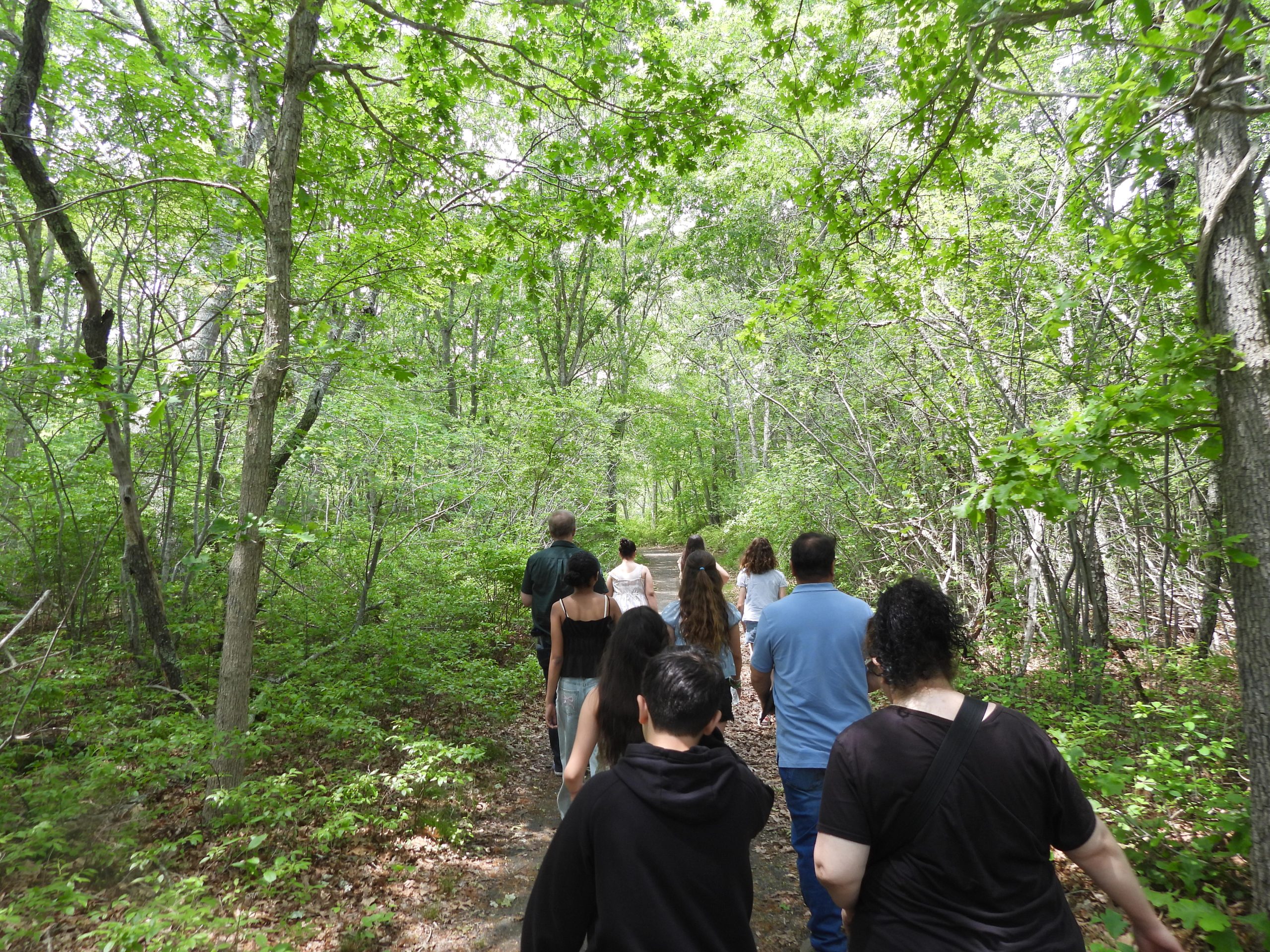 June 2026: Hiking with a Group at Wertheim National Wildlife Refuge