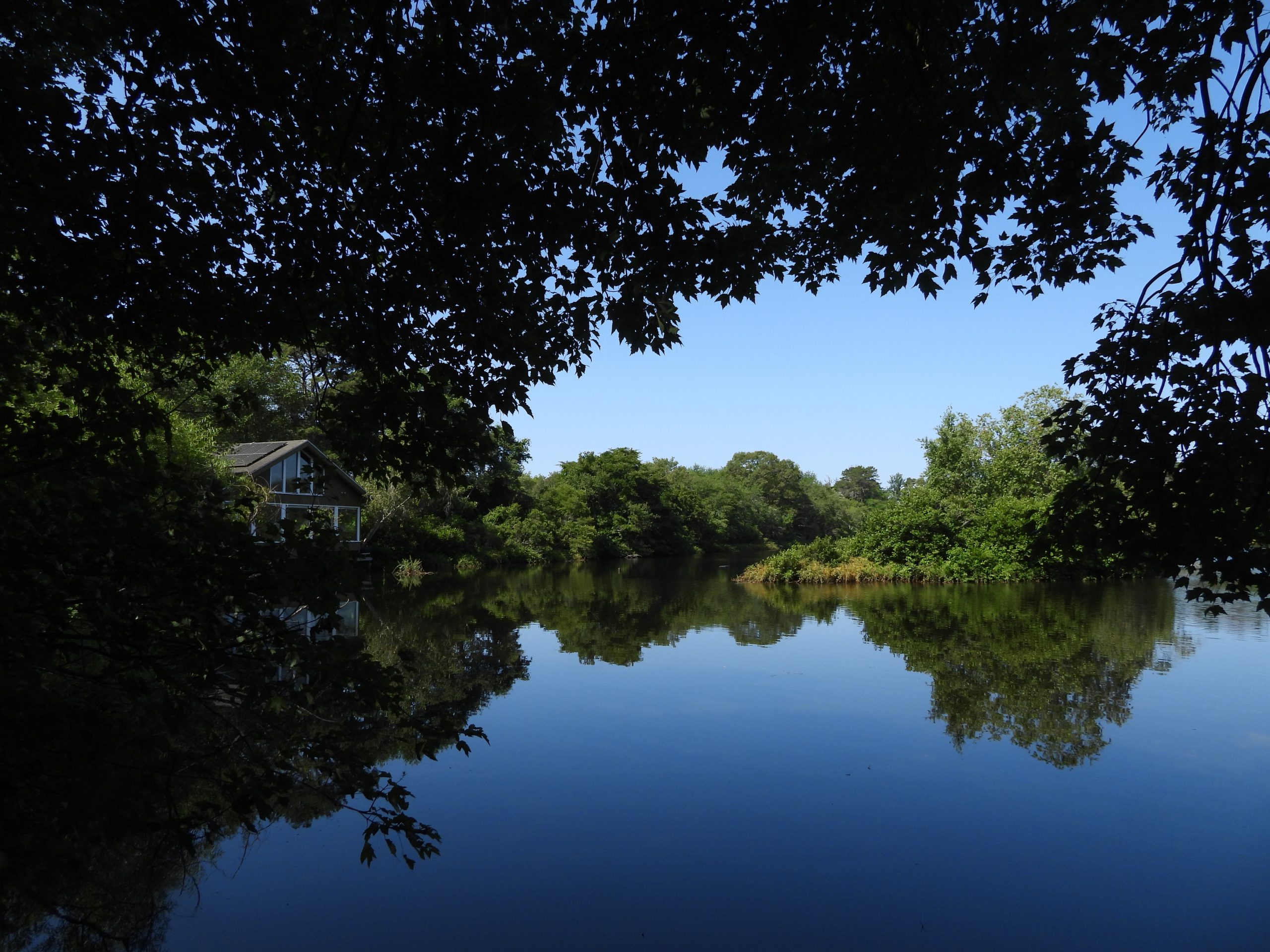 July 2026: Quogue Wildlife Refuge